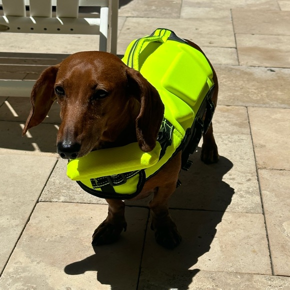 Meet your Posher, Alison - Picture 1 of 1